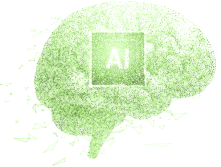brain