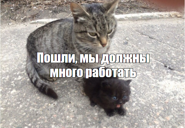 prev