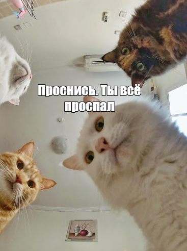 prev