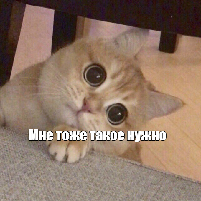prev